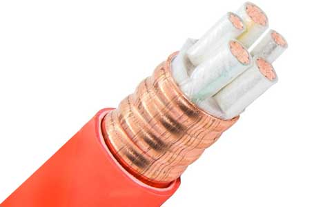 <a href='http://submicrotrading.com/kuangwuzhidianlan/' target='_blank'><u>礦物質(zhì)電纜</u></a>